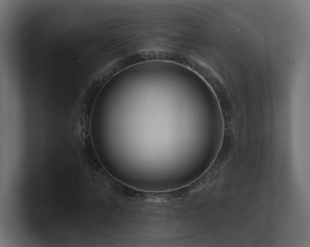 X0000101090870200806261449