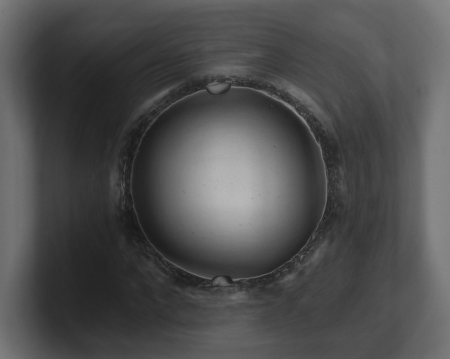 X0000101090872200806261449