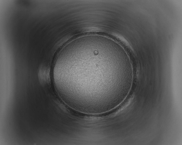 X0000101090873200806261449