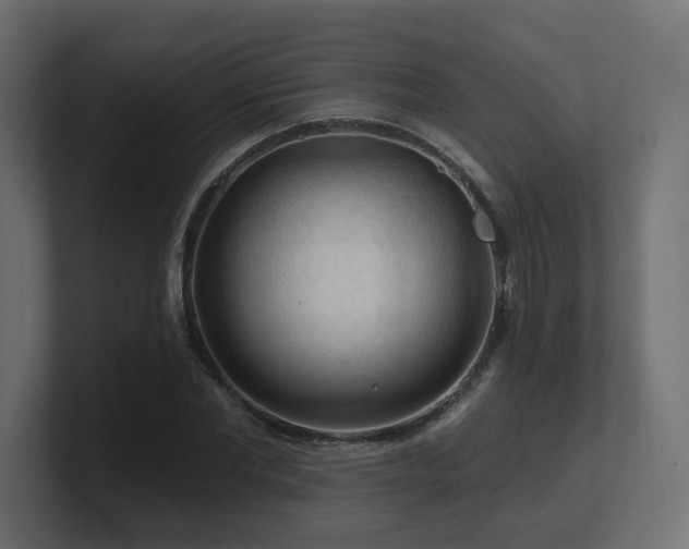 X0000101090877200806261449