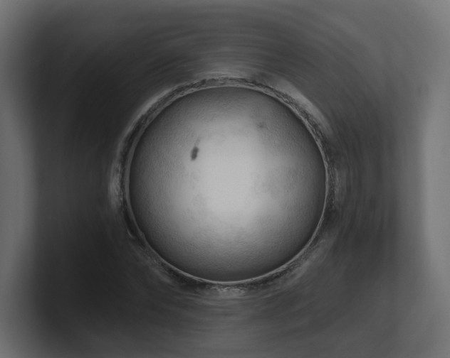 X0000101090878200806261449