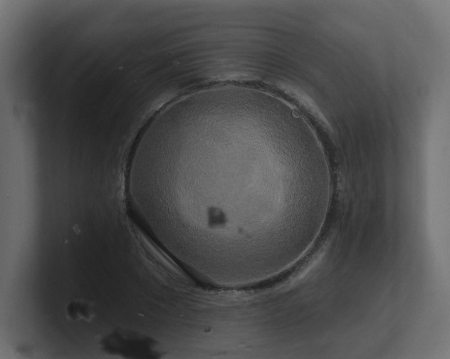 X0000101090881200806261449