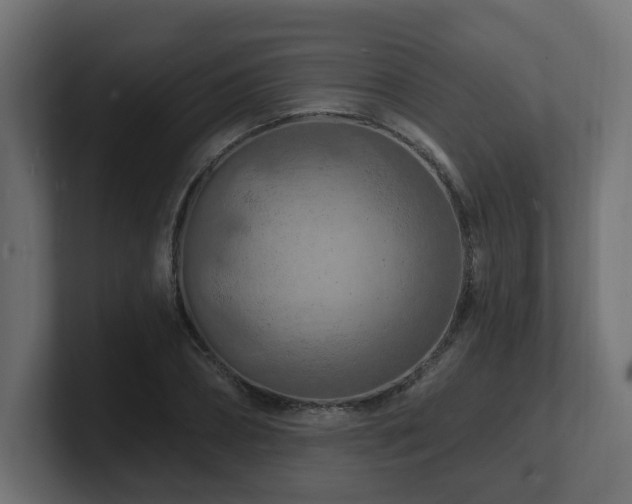 X0000101090882200806261449