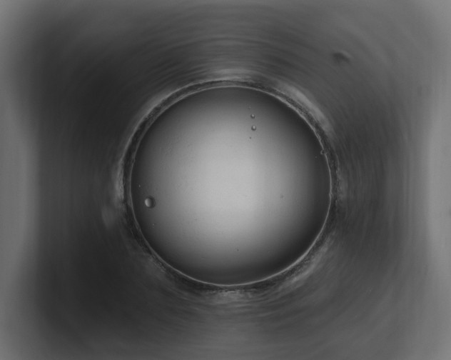 X0000101090883200806261449