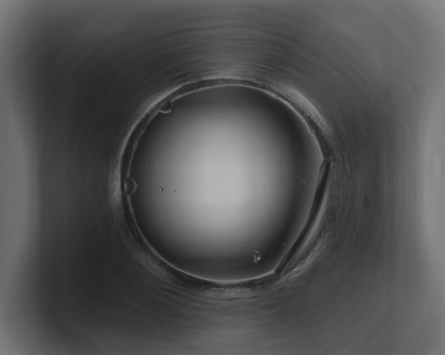 X0000101090884200806261449