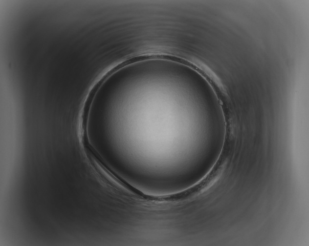 X0000101090885200806261449