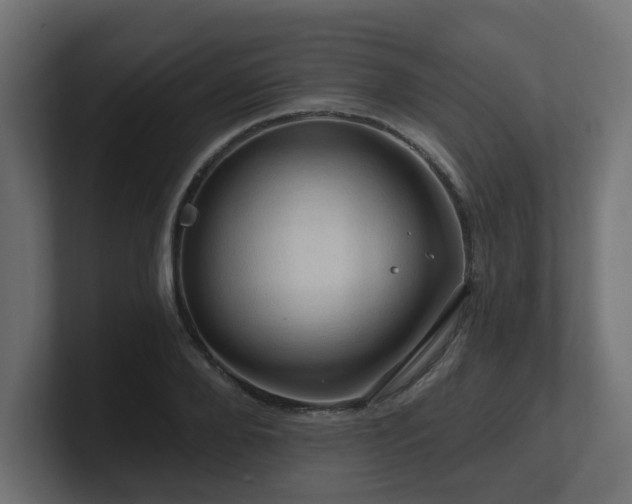 X0000101090888200806261449