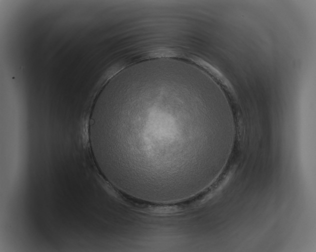 X0000101090889200806261449