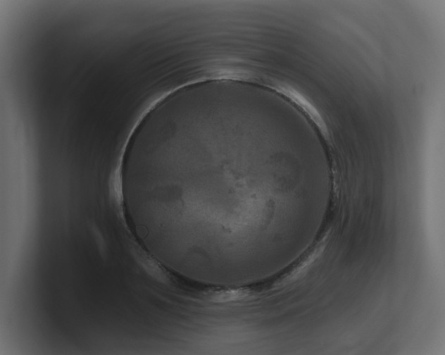 X0000101090891200806261449