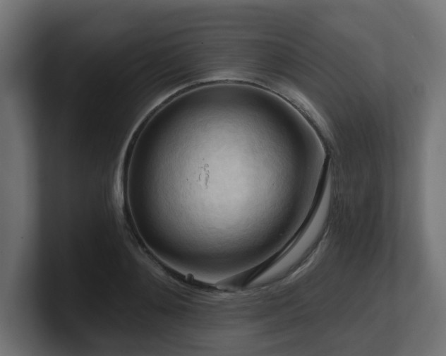 X0000101090892200806261449