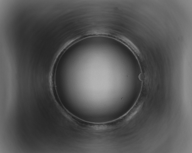 X0000101090893200806261449