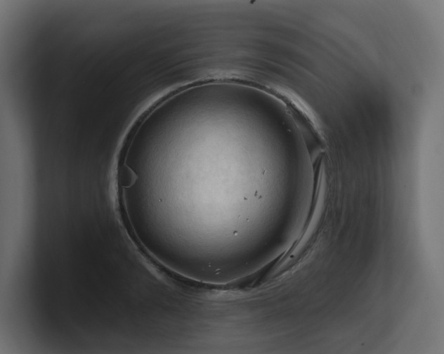 X0000101090894200806261449