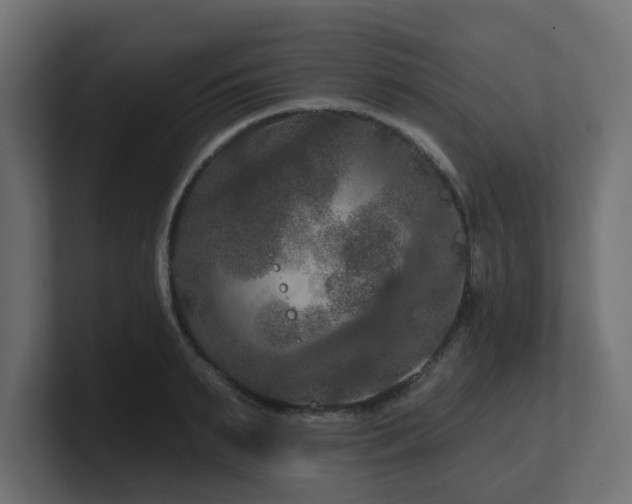 X0000101090895200806261449