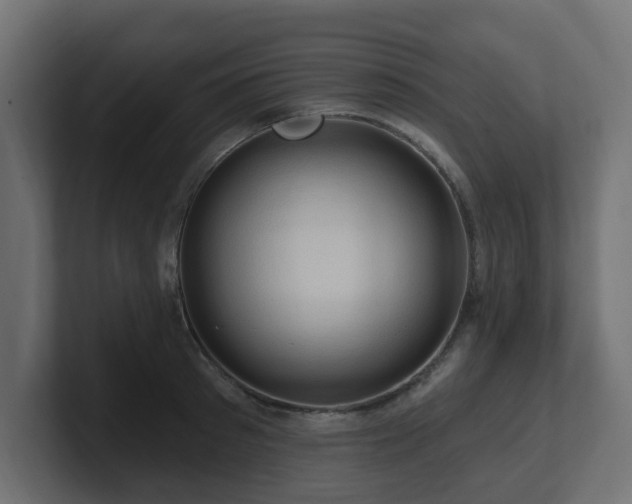 X0000101090897200806261449