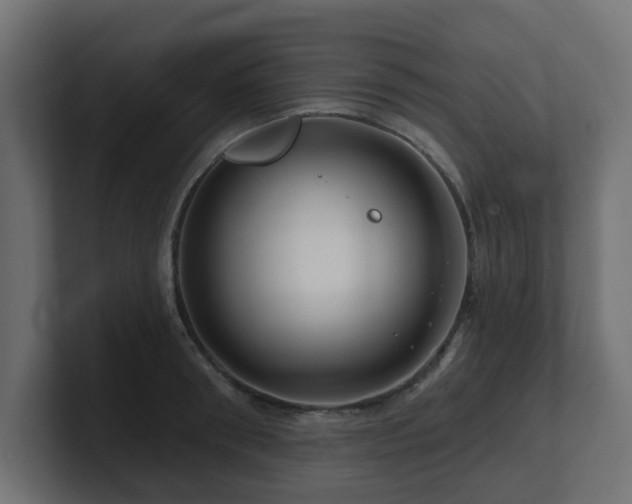 X0000101090898200806261449