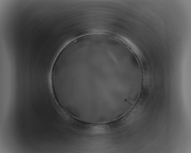 X0000101090899200806261449