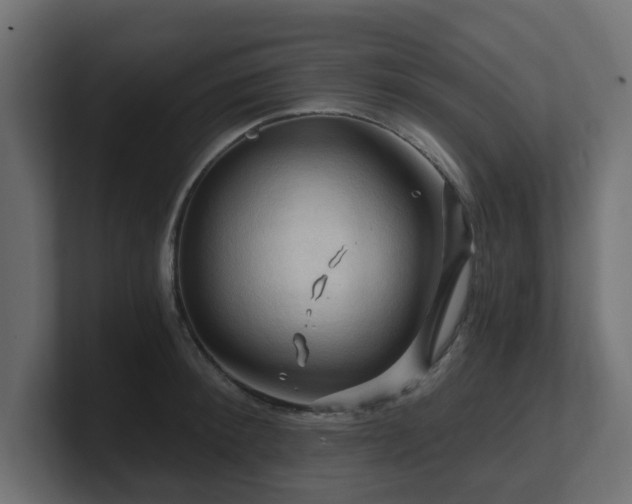 X0000101090900200806261449