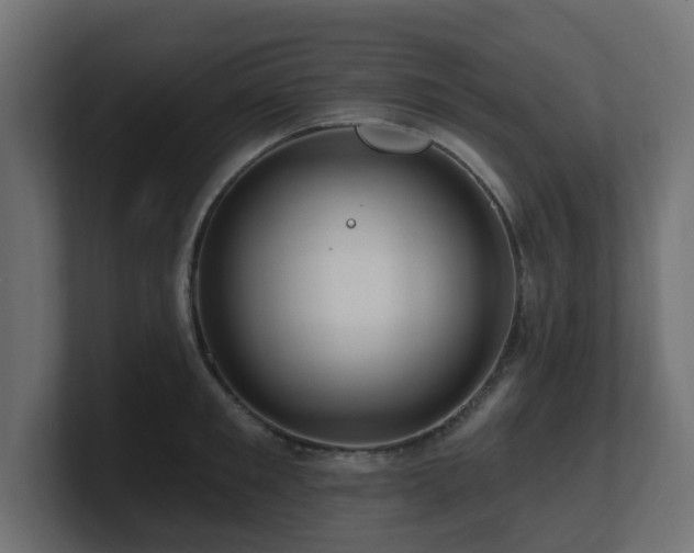 X0000101090901200806261449