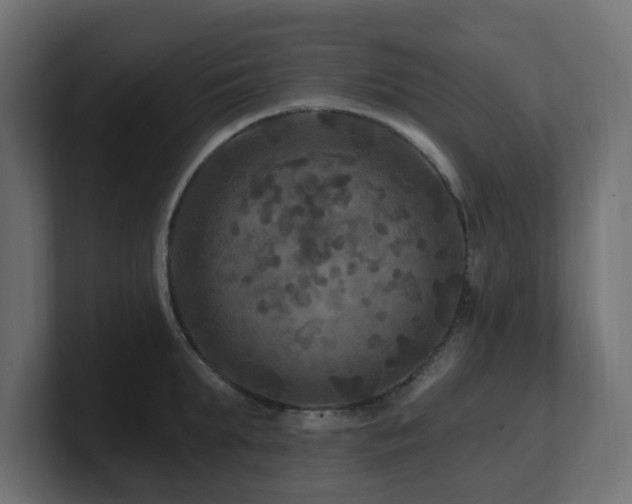 X0000101090903200806261449