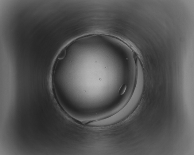 X0000101090904200806261449