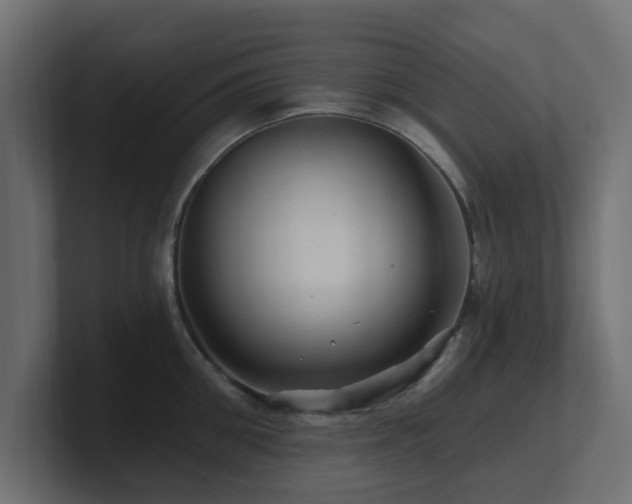 X0000101090906200806261449