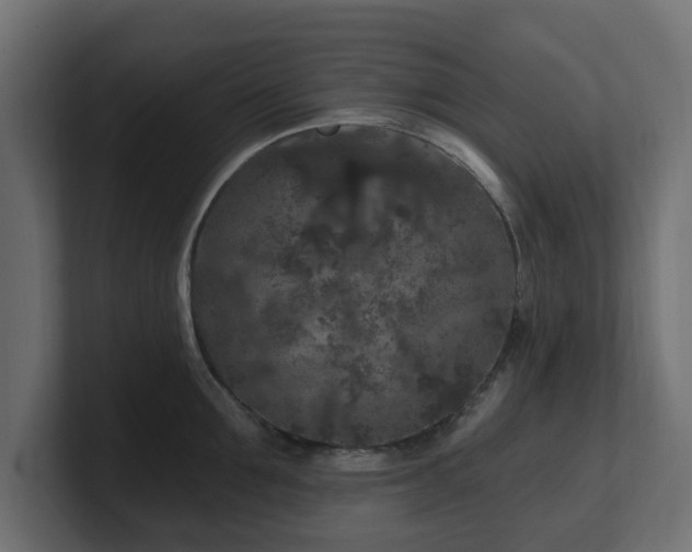 X0000101090907200806261449