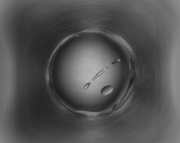 X0000101090908200806261449