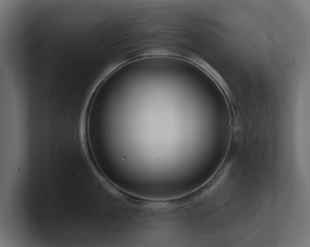 X0000101090909200806261449