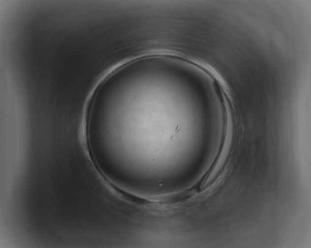 X0000101090910200806261449