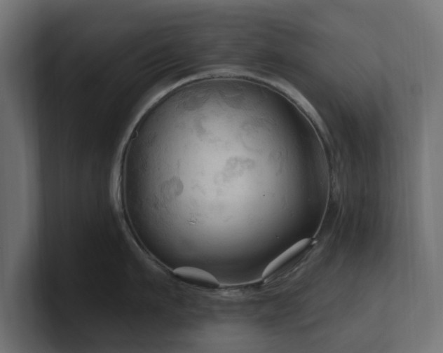 X0000101090911200806261449