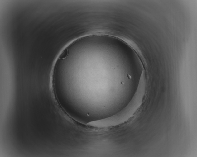 X0000101090912200806261449