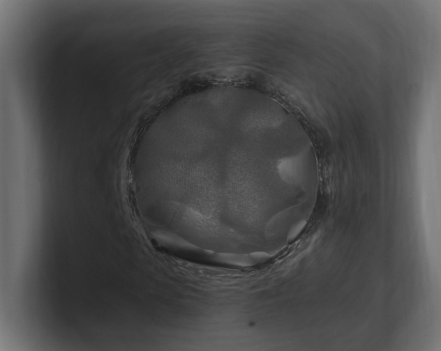 X0000101090913200806261448