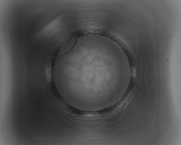 X0000101090915200806261448