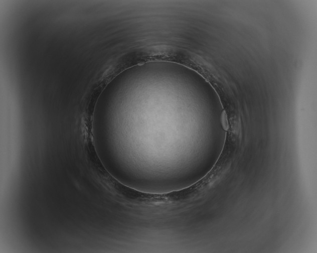 X0000101090916200806261448