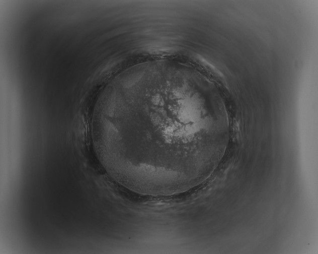 X0000101090917200806261448