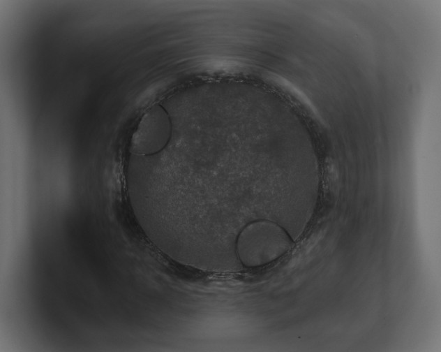 X0000101090918200806261448