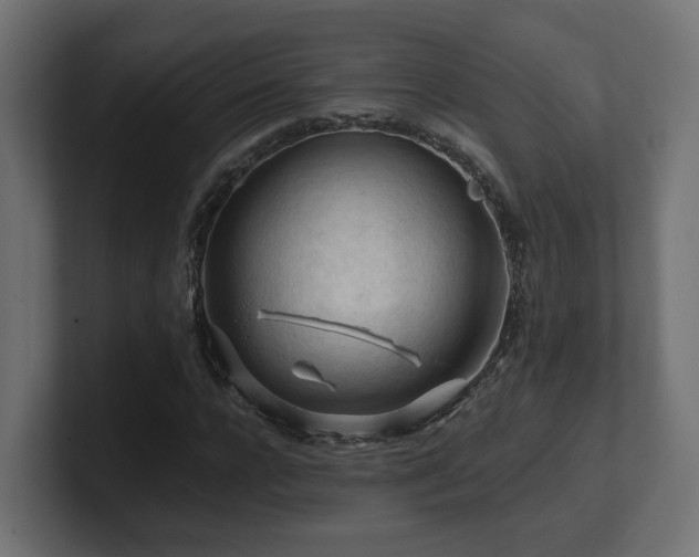 X0000101090920200806261448