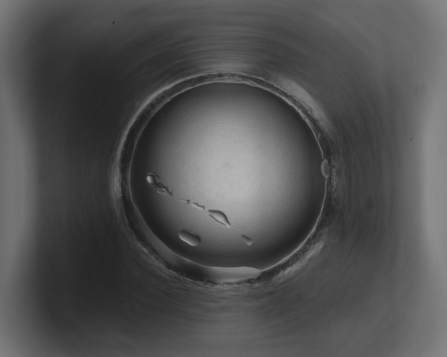 X0000101090924200806261448