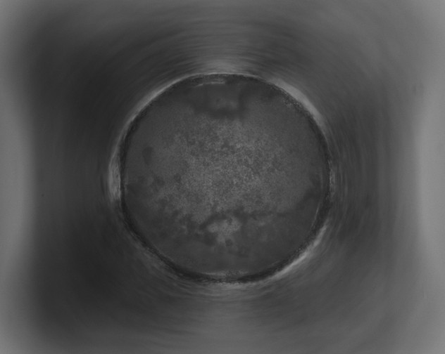 X0000101090925200806261448