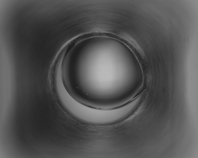 X0000101090926200806261448