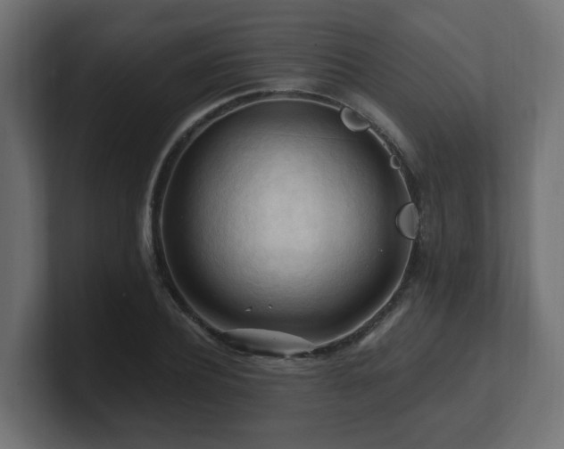 X0000101090932200806261448