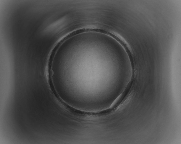 X0000101090935200806261448