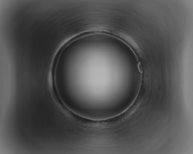 X0000101090936200806261448