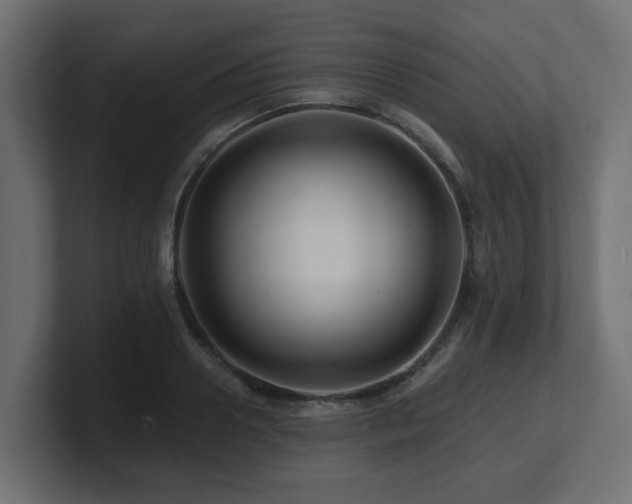 X0000101090938200806261448