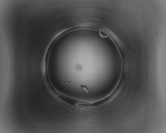 X0000101090940200806261448