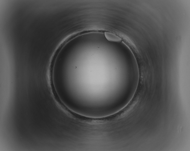 X0000101090942200806261448