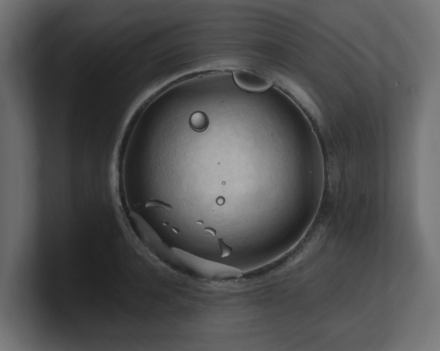 X0000101090944200806261448