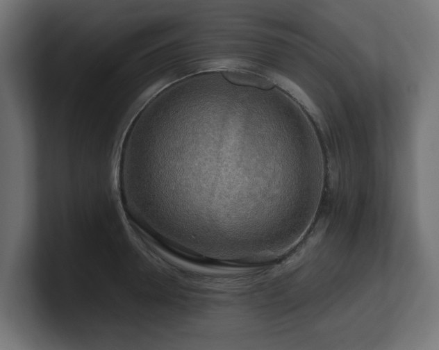 X0000101090946200806261448