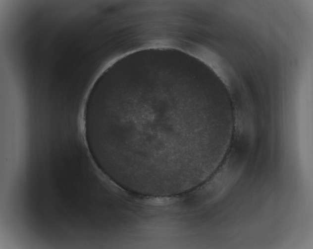 X0000101090950200806261448