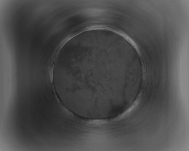 X0000101090953200806261449